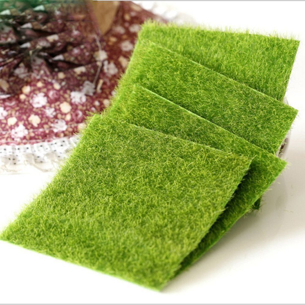 Ecological Lawn Decor Garden O - Terrarium Moss Art ulasan dan harga
