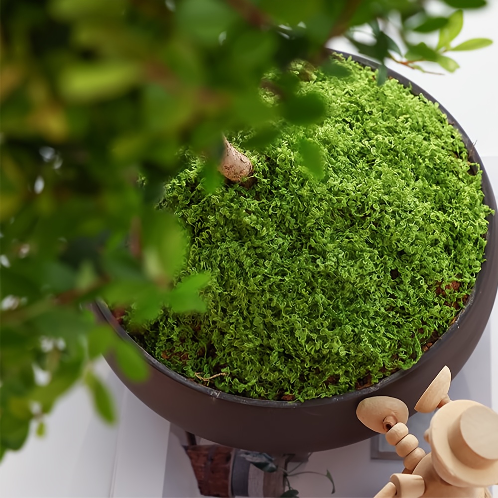 1pack Artificial Fake Moss, 1. - Terrarium Moss Art ulasan dan harga