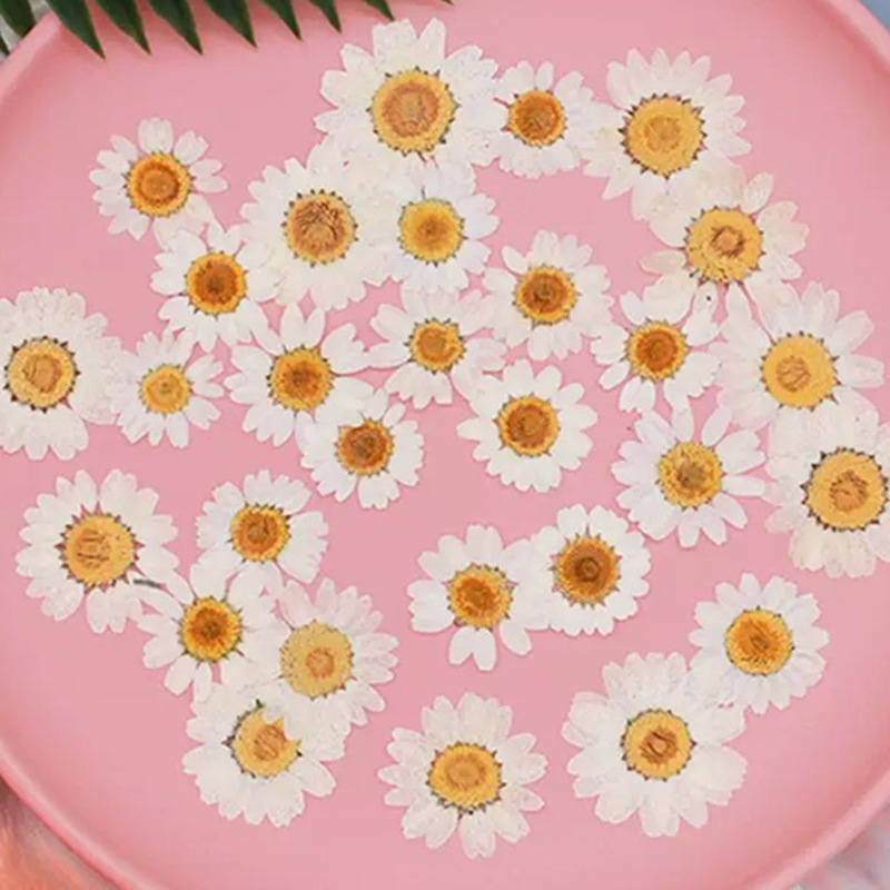 100Pcs Natural White Crystal C - Resin Craft Ideas ulasan dan harga