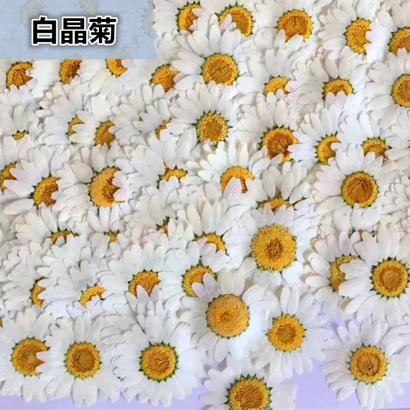 100Pcs Natural White Crystal C - Resin Craft Ideas ulasan dan harga