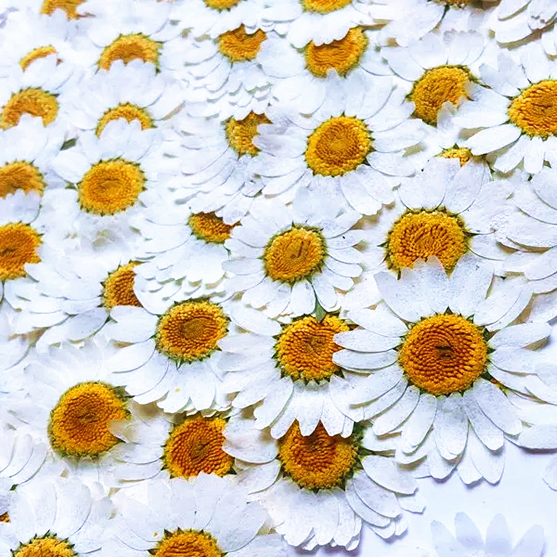 100Pcs Natural White Crystal C - Resin Craft Ideas ulasan dan harga