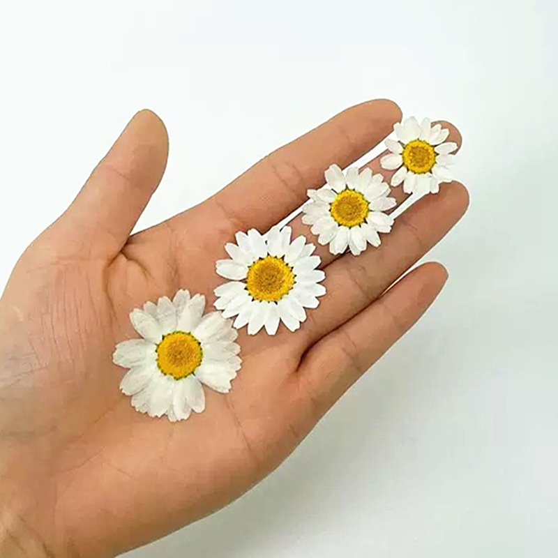 100Pcs Natural White Crystal C - Resin Craft Ideas ulasan dan harga
