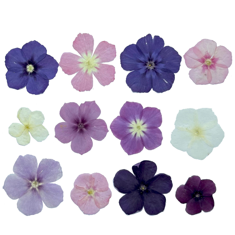 12pcs,Semi-Transparent Niche P - Resin Craft Ideas ulasan dan harga